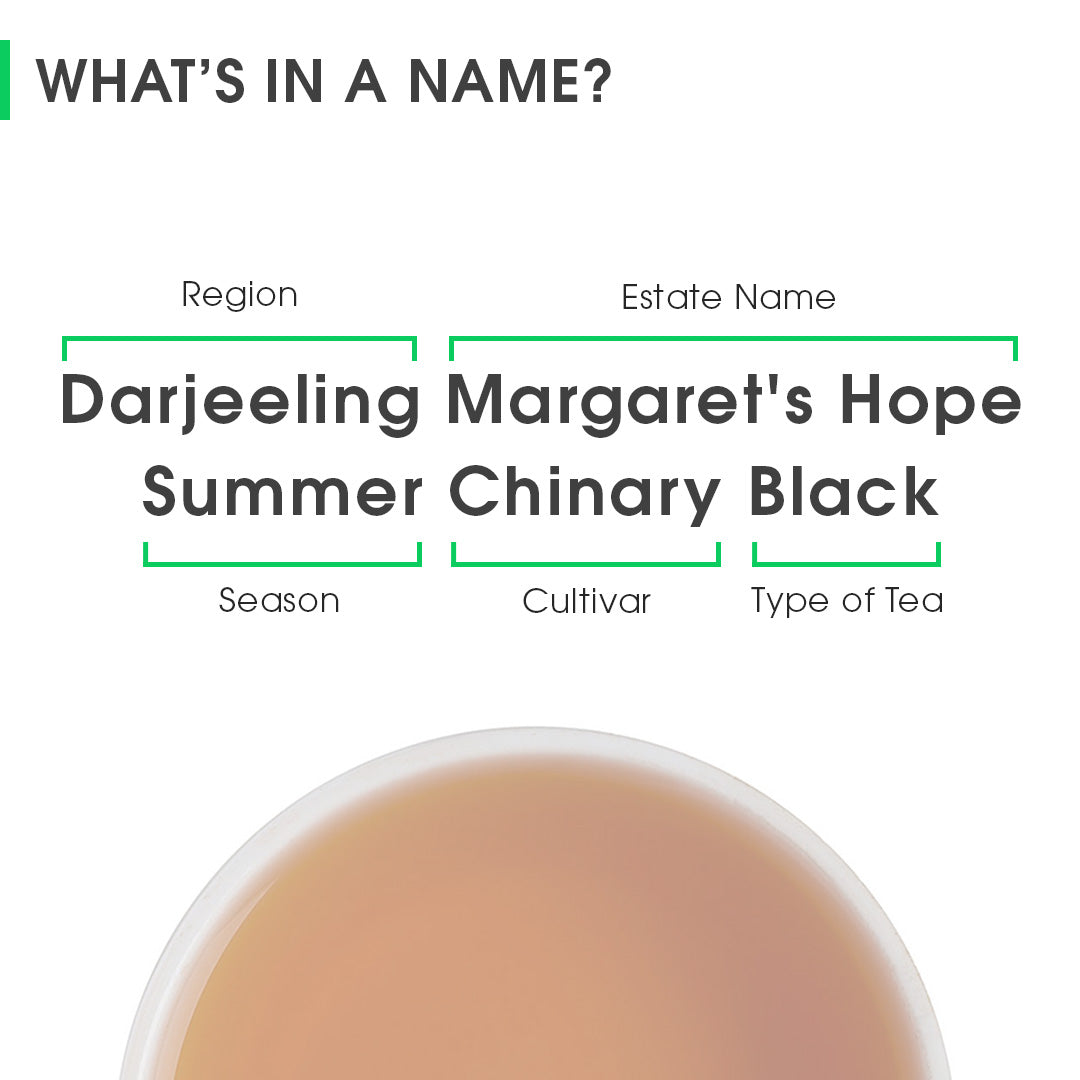 Darjeeling Margaret's Hope Summer Chinary Black