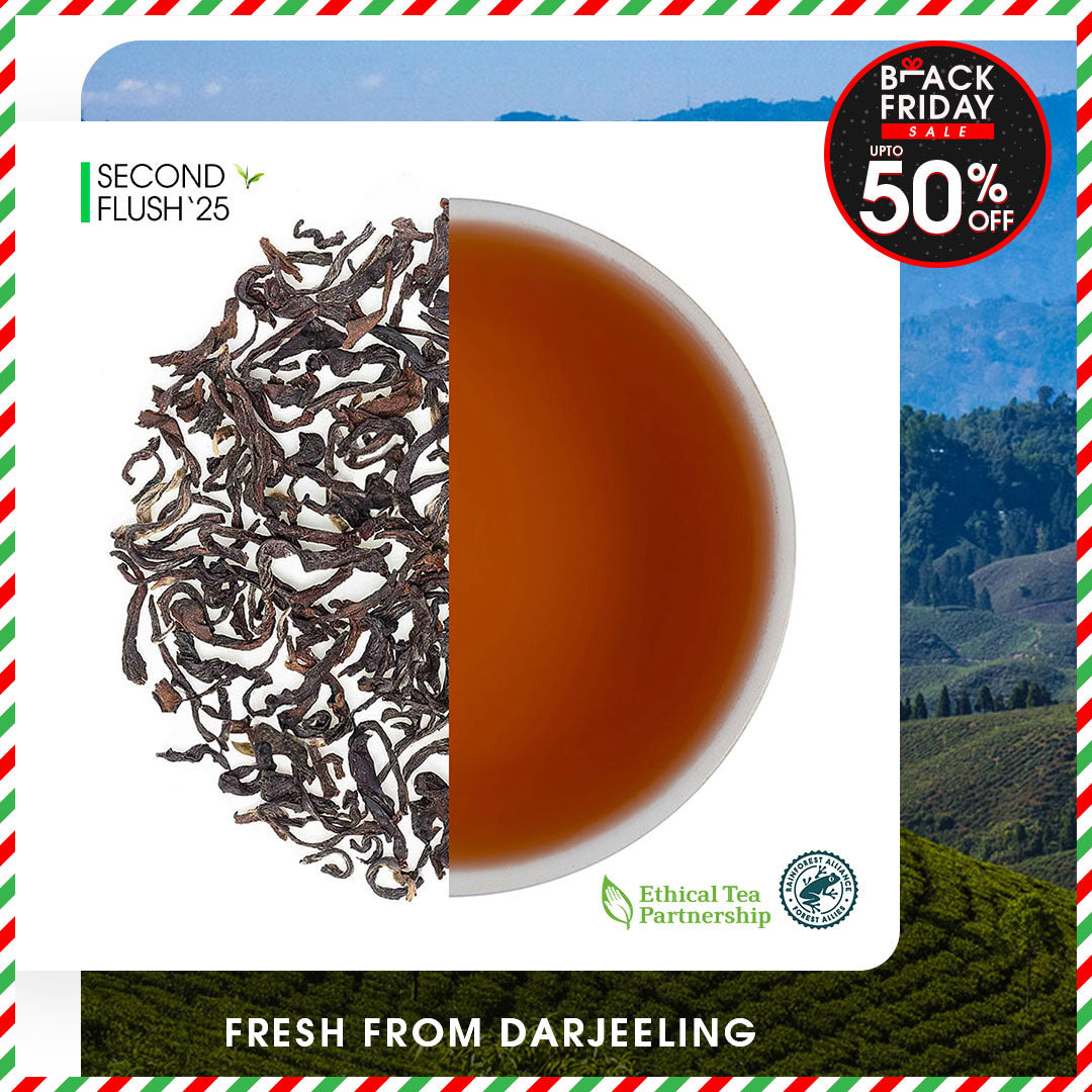 Darjeeling Margaret's Hope Summer Chinary Black