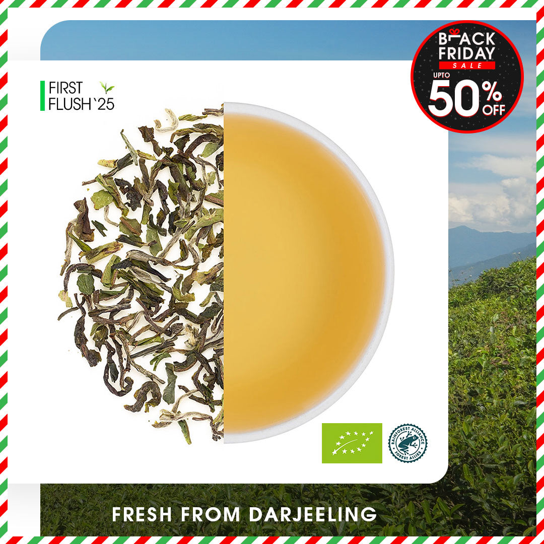 Darjeeling Okayti Spring Chinary Black