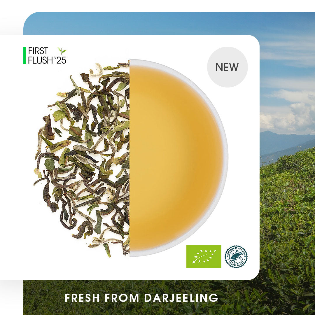 Darjeeling Okayti Spring Chinary Black