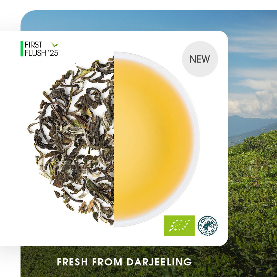 Darjeeling Okayti Spring Clonal Black