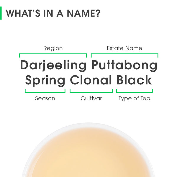 Darjeeling Puttabong Spring Clonal Black