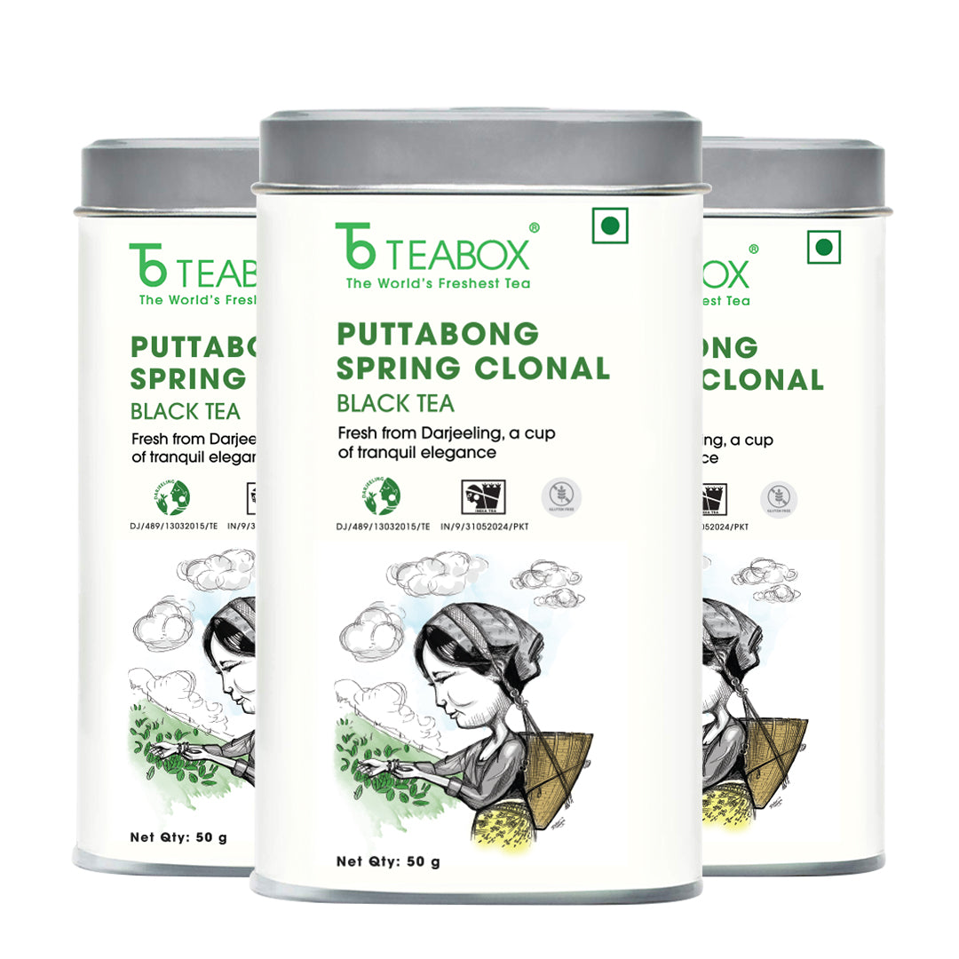 Darjeeling Puttabong Spring Clonal Black