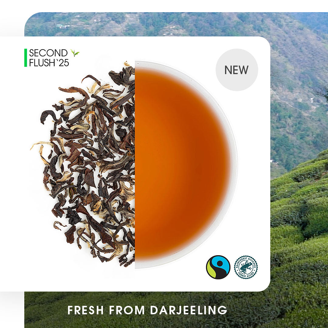 Darjeeling Puttabong Summer Clonal Black