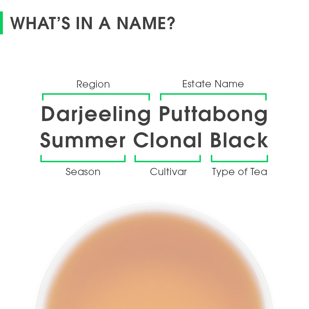 Darjeeling Puttabong Summer Clonal Black