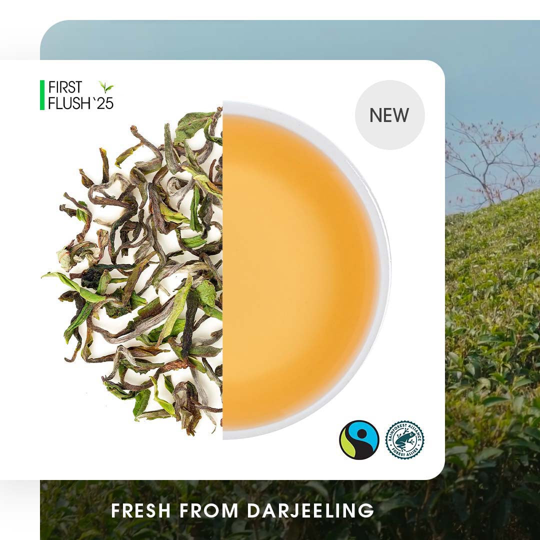 Darjeeling Risheehat Spring Chinary Black (Limited Edition)