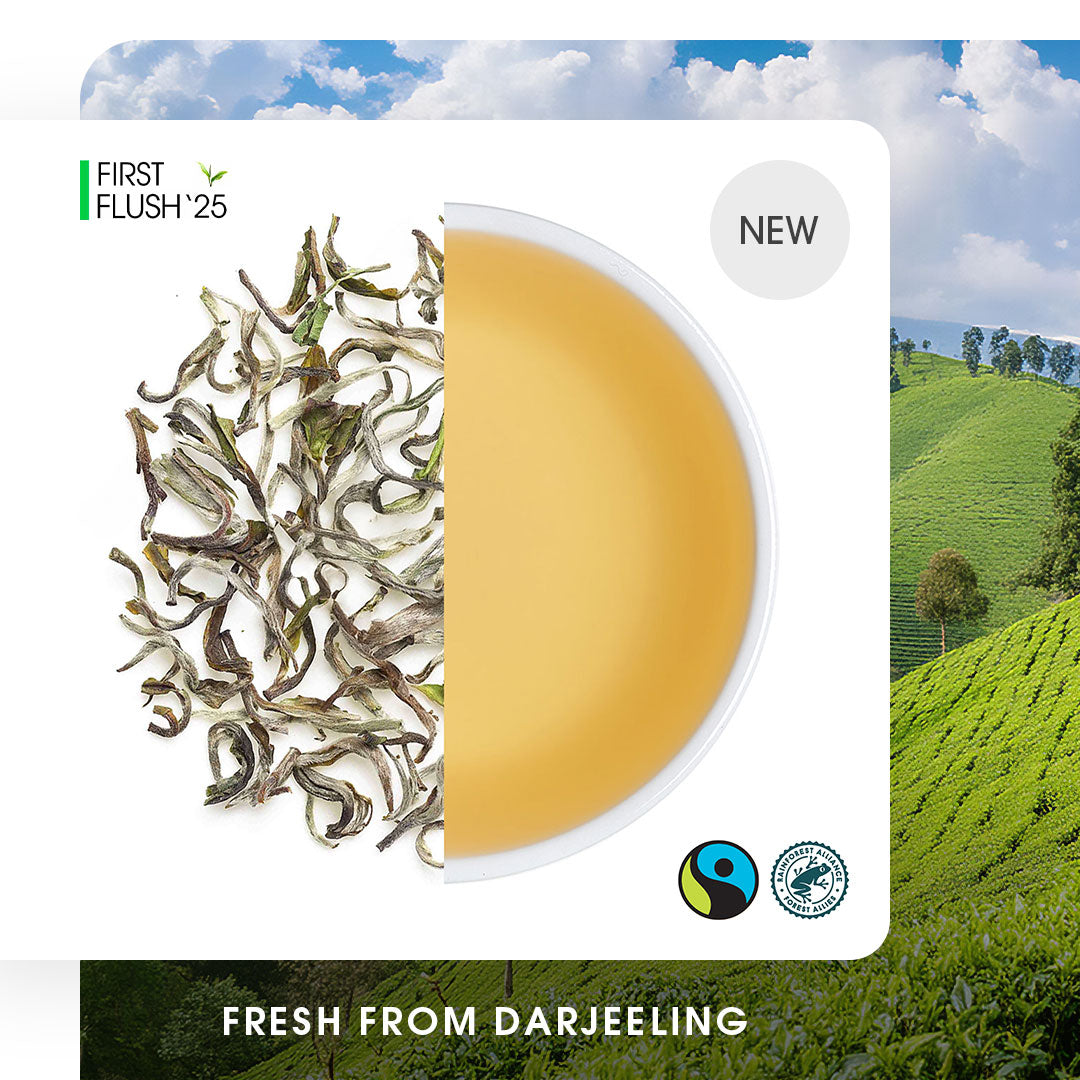 Darjeeling Samabeong Spring Black