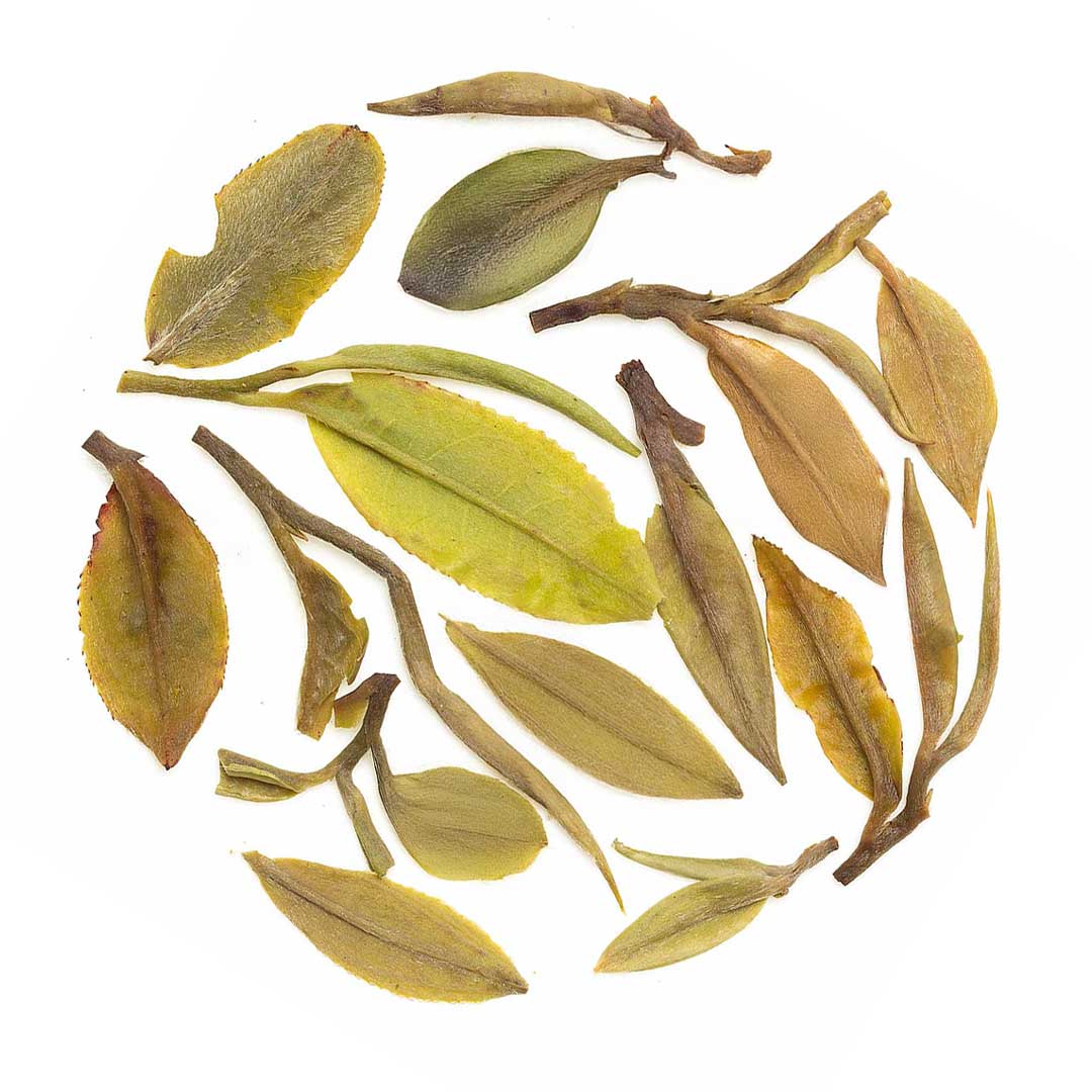 Darjeeling Samabeong Spring Black