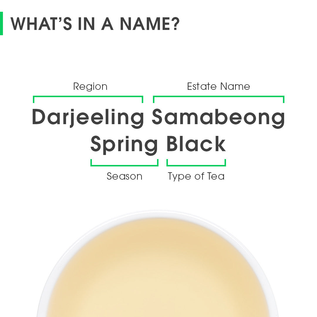 Darjeeling Samabeong Spring Black