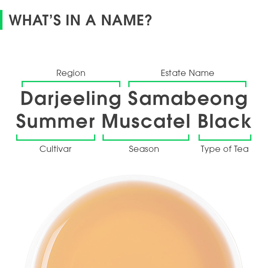 Darjeeling Samabeong Summer Muscatel Black