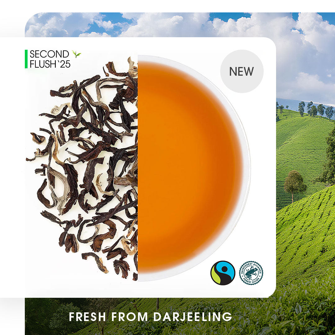 Darjeeling Samabeong Summer Muscatel Black (Limited Edition)
