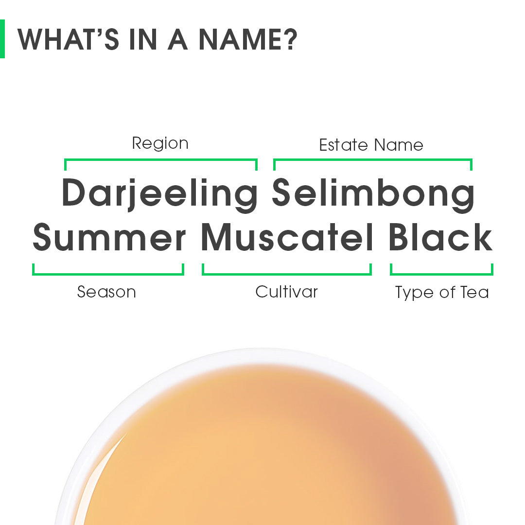 Darjeeling Selimbong Summer Muscatel Black