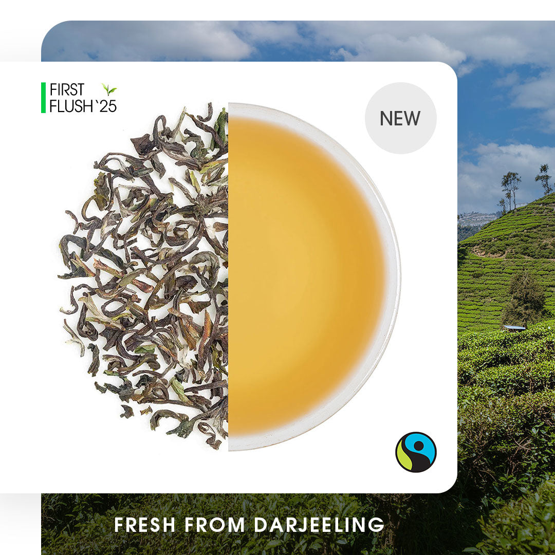 Darjeeling Singell Spring Chinary Black