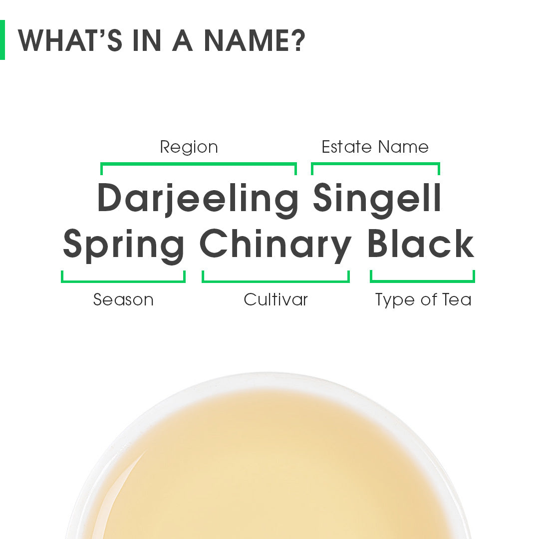 Darjeeling Singell Spring Chinary Black