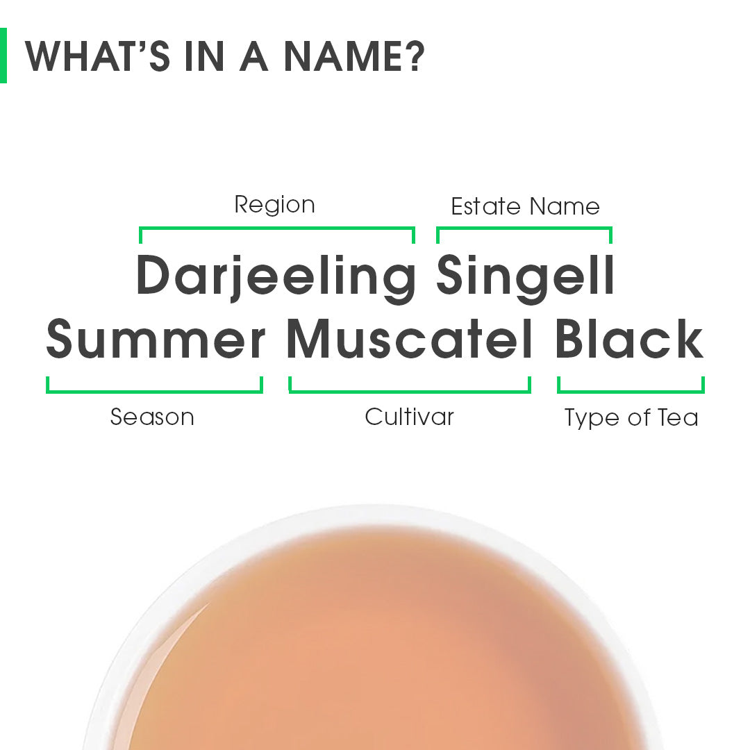 Darjeeling Singell Summer Muscatel Black