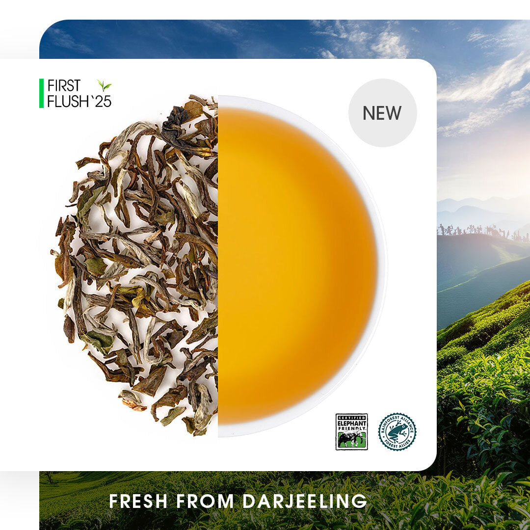 Darjeeling Snowview Spring Clonal Black