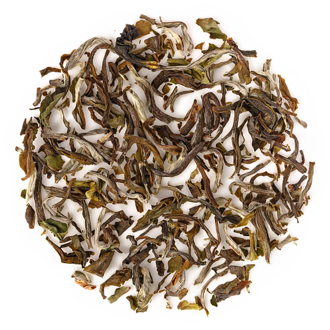 Darjeeling Snowview Spring Clonal Black