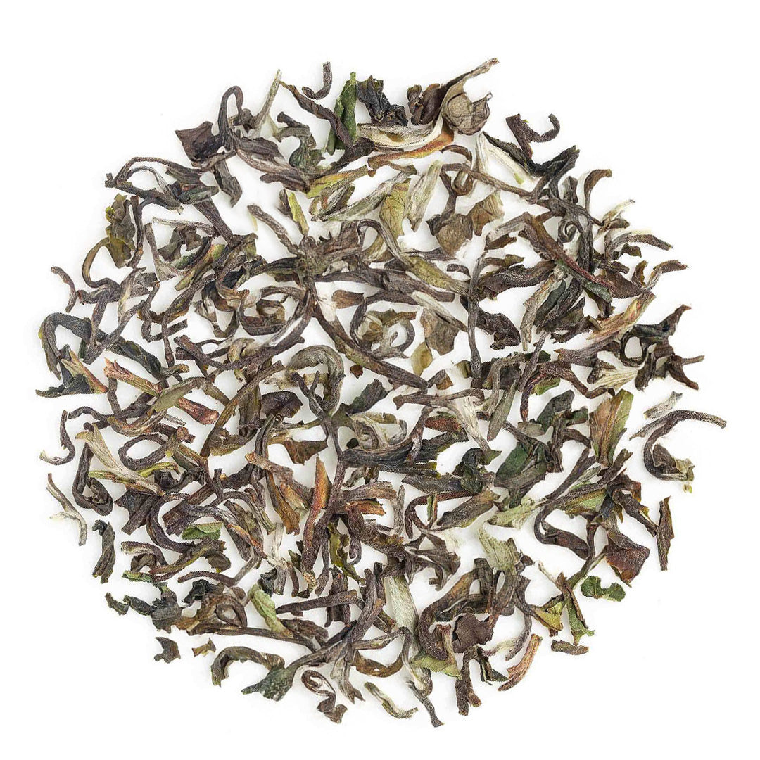 Darjeeling Snowview Spring Clonal Black