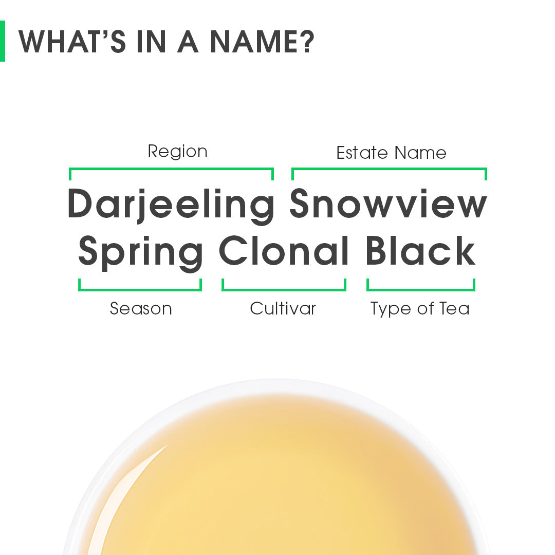 Darjeeling Snowview Spring Clonal Black