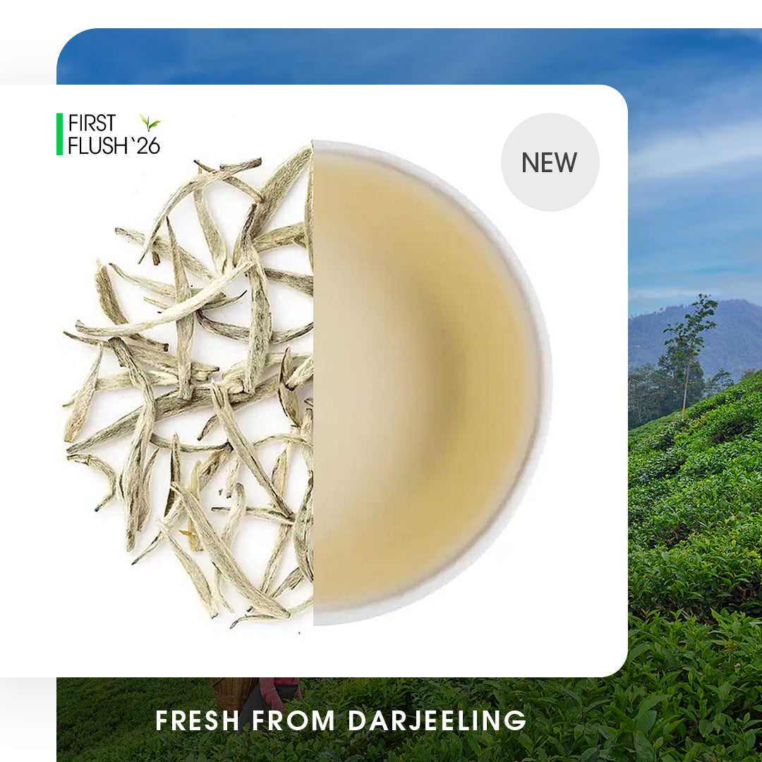 Darjeeling Special Spring Silver Needle White