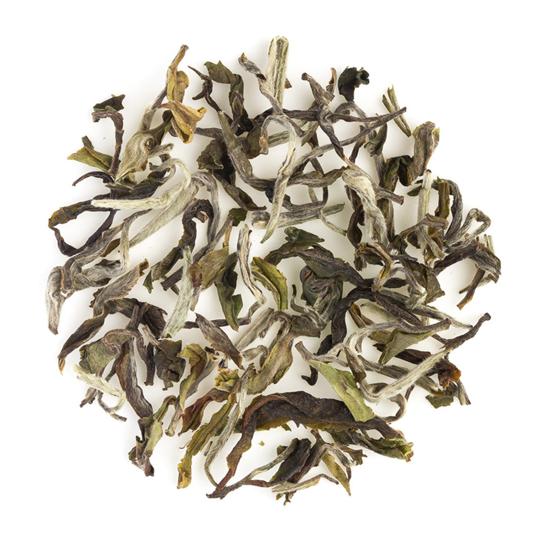 Darjeeling Special Spring White