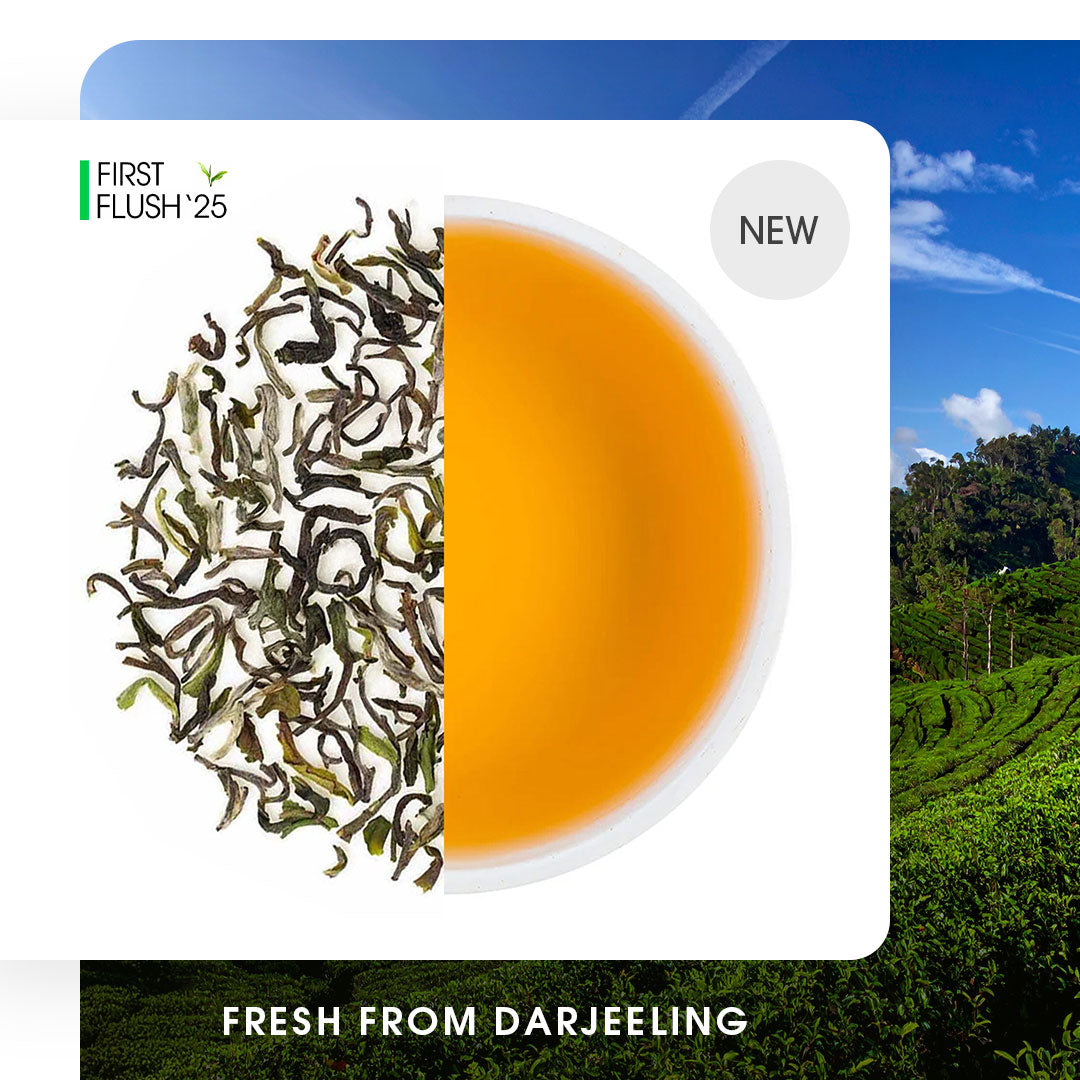 Darjeeling Spring Chinary Black