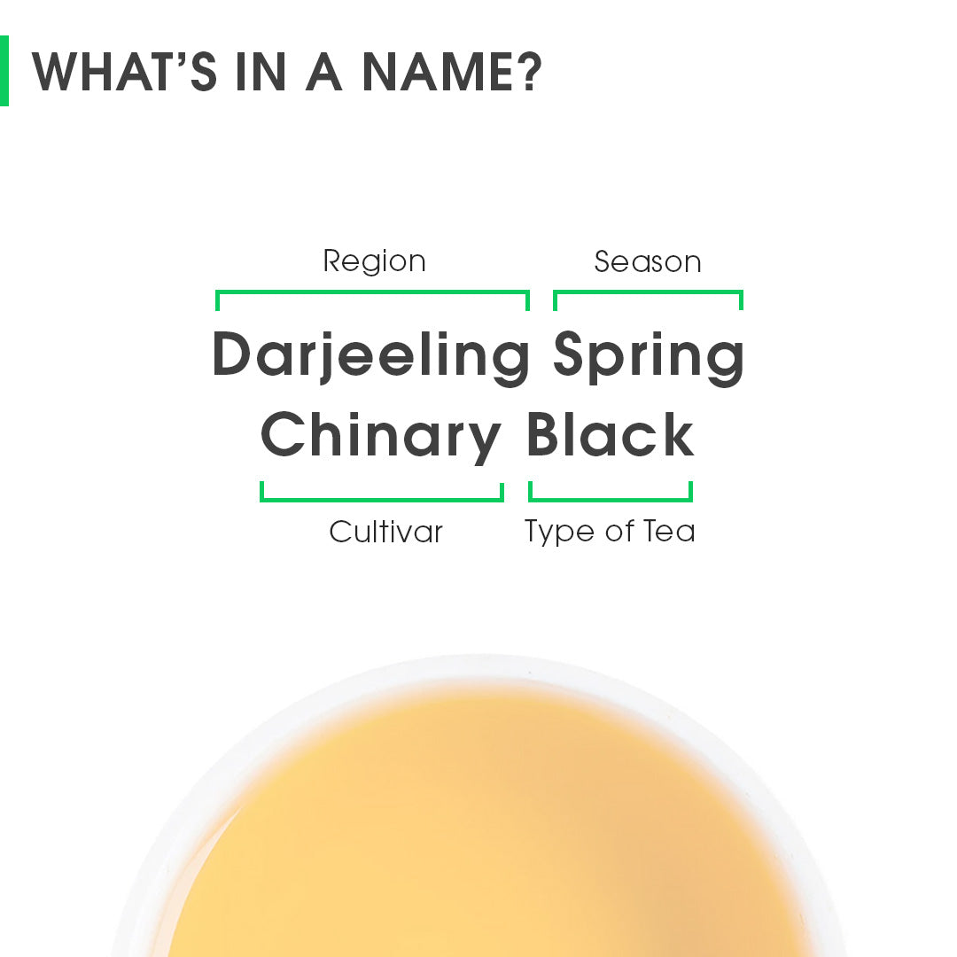 Darjeeling Spring Chinary Black