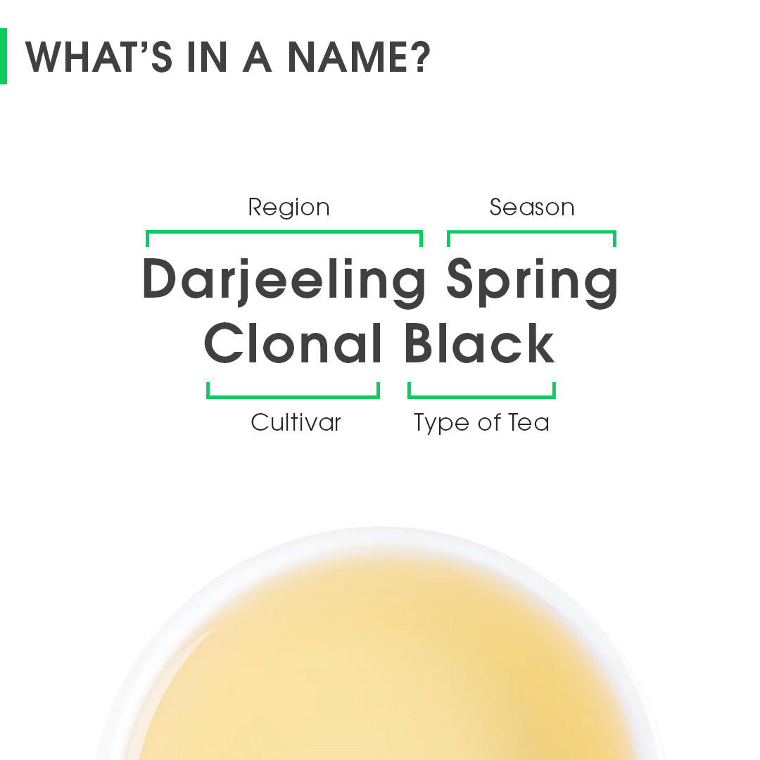 Darjeeling Spring Clonal Black