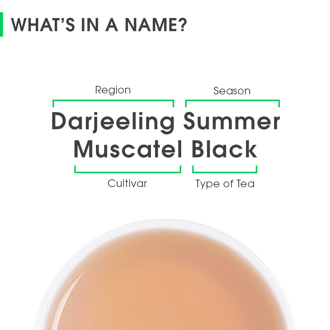 Darjeeling Summer Muscatel Black