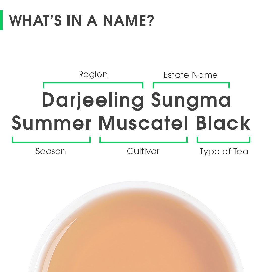 Darjeeling Sungma Summer Muscatel Black