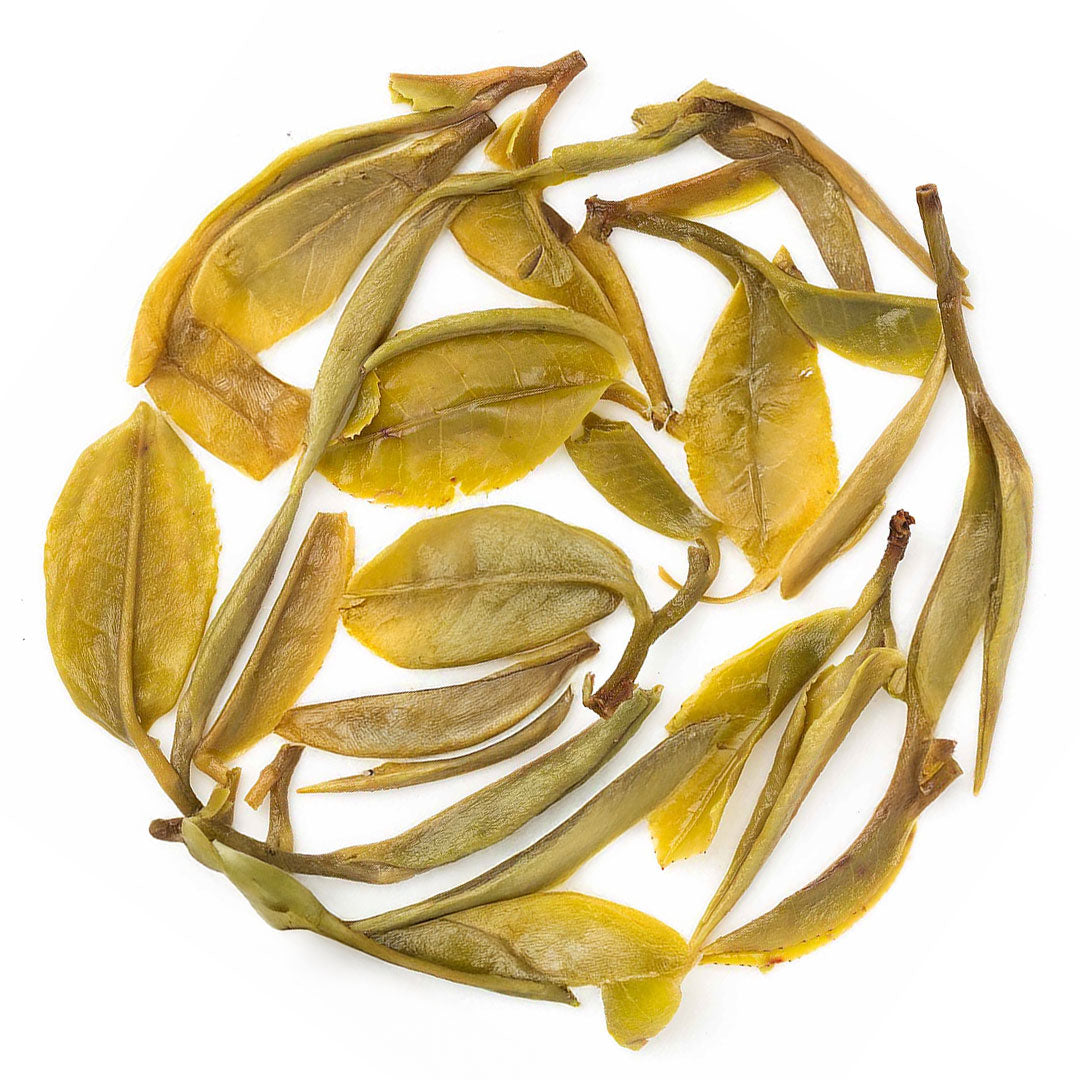 Darjeeling Thurbo Spring Moonlight White