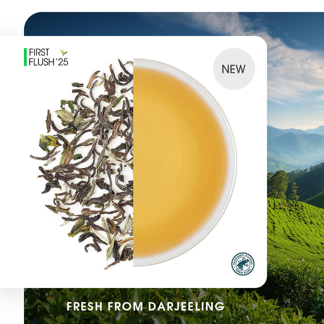 Darjeeling Thurbo Spring Chinary Black