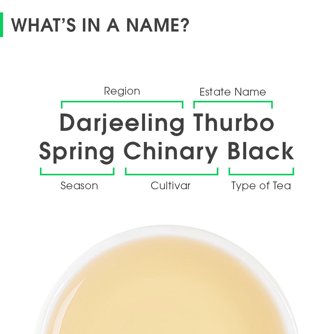 Darjeeling Thurbo Spring Chinary Black
