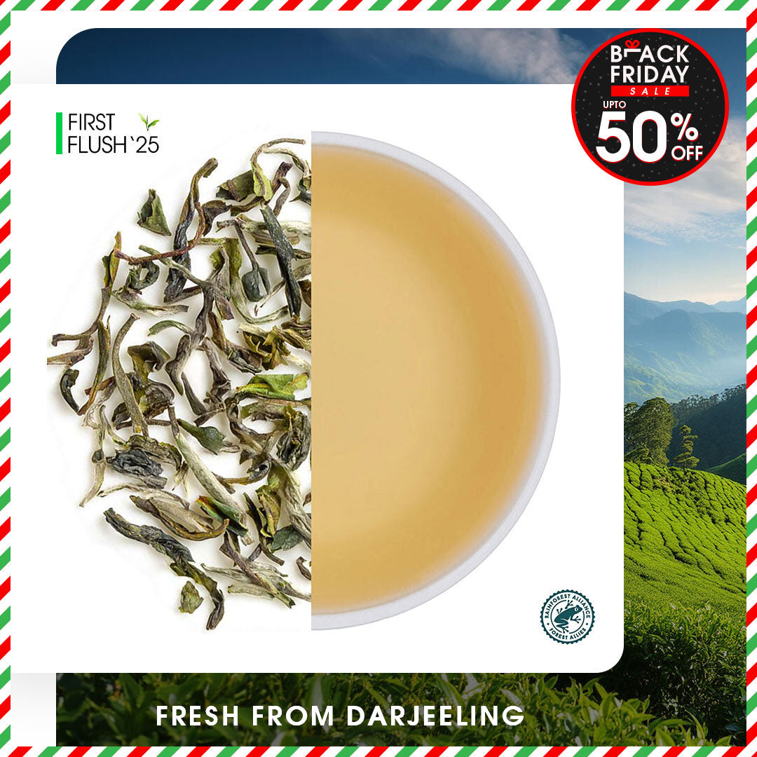 Darjeeling Thurbo Spring Moonlight White