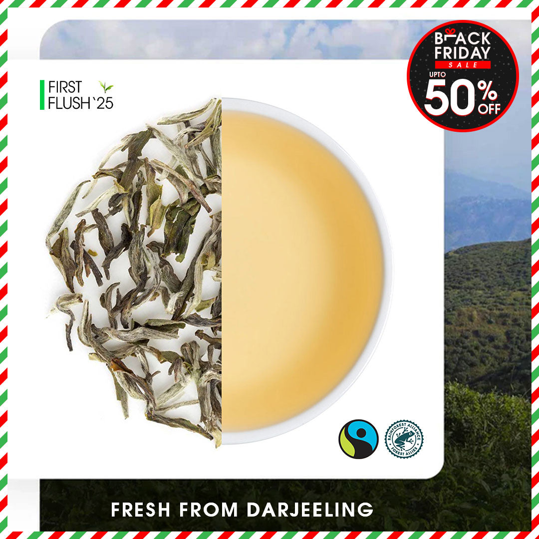 Darjeeling Turzum Spring Moonlight White