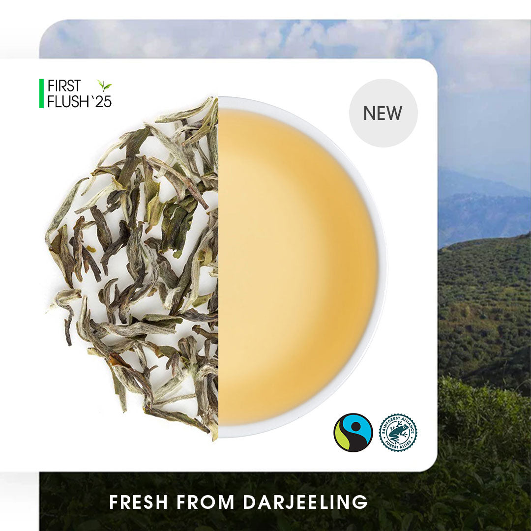 Darjeeling Turzum Spring Moonlight White