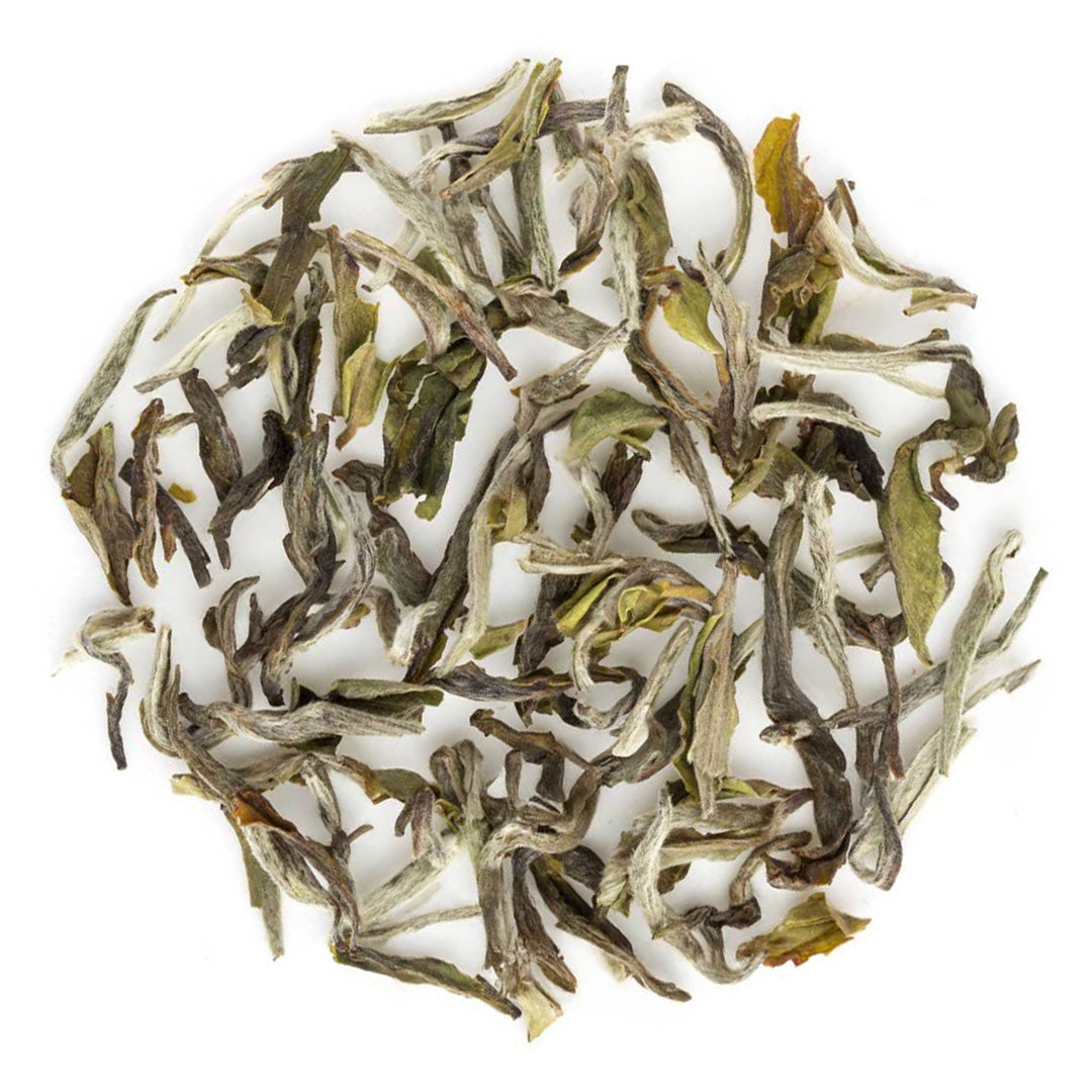 Darjeeling Turzum Spring Moonlight White