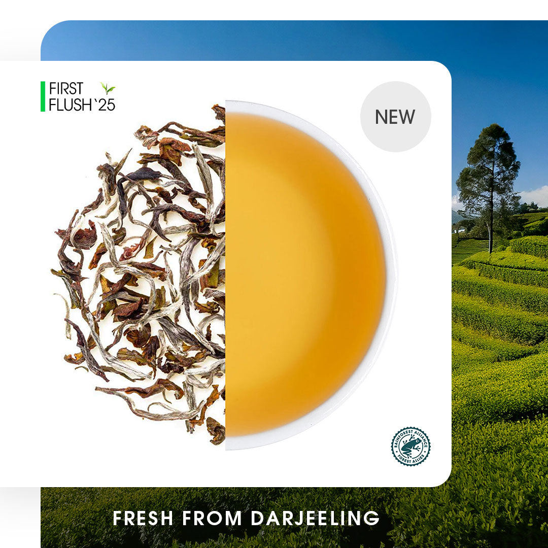 Darjeeling Upper Namring Spring Clonal Black (Signature Series)