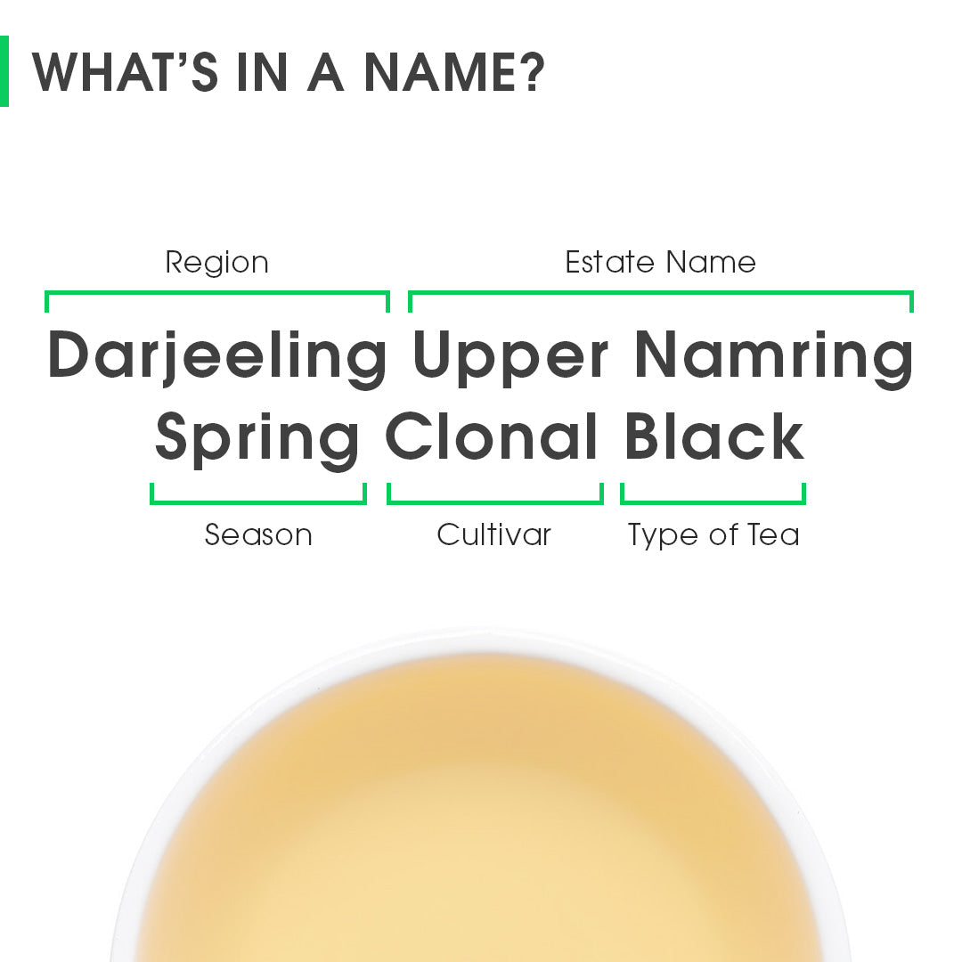 Darjeeling Upper Namring Spring Clonal Black (Signature Series)