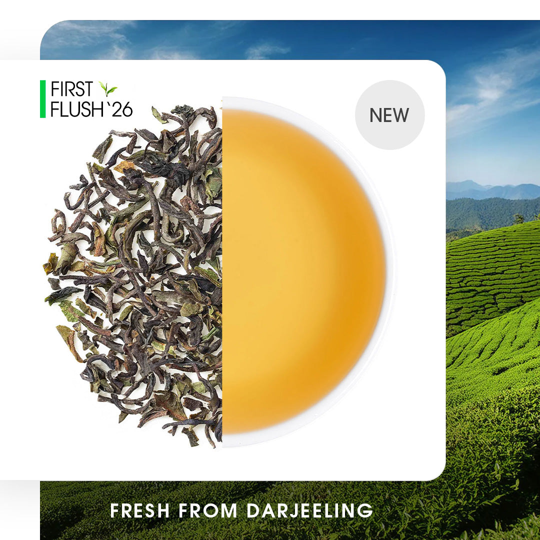 Darjeeling Castleton Spring Chinary Black