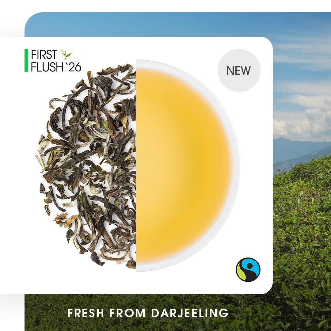 Darjeeling Okayti Spring Chinary Black