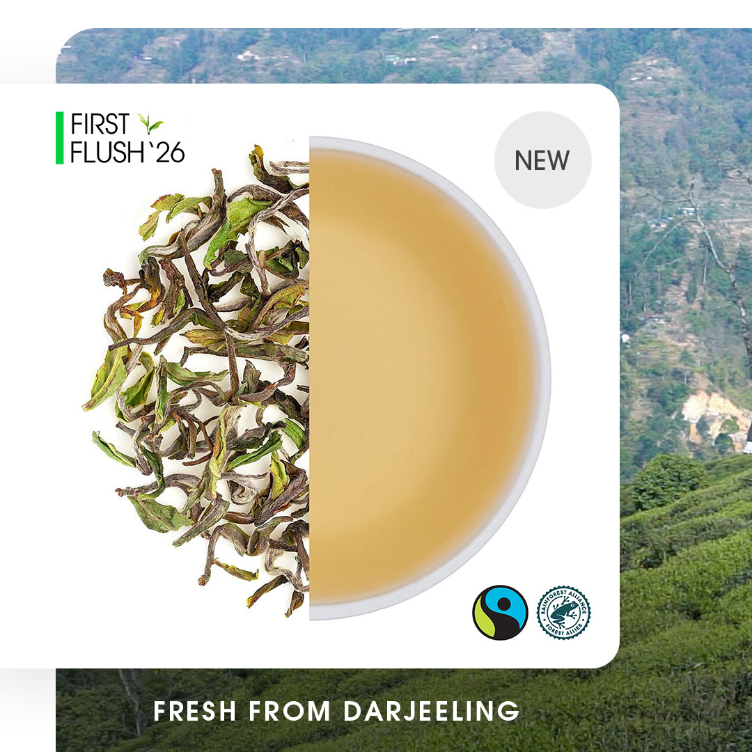 Darjeeling Puttabong Spring Clonal Black