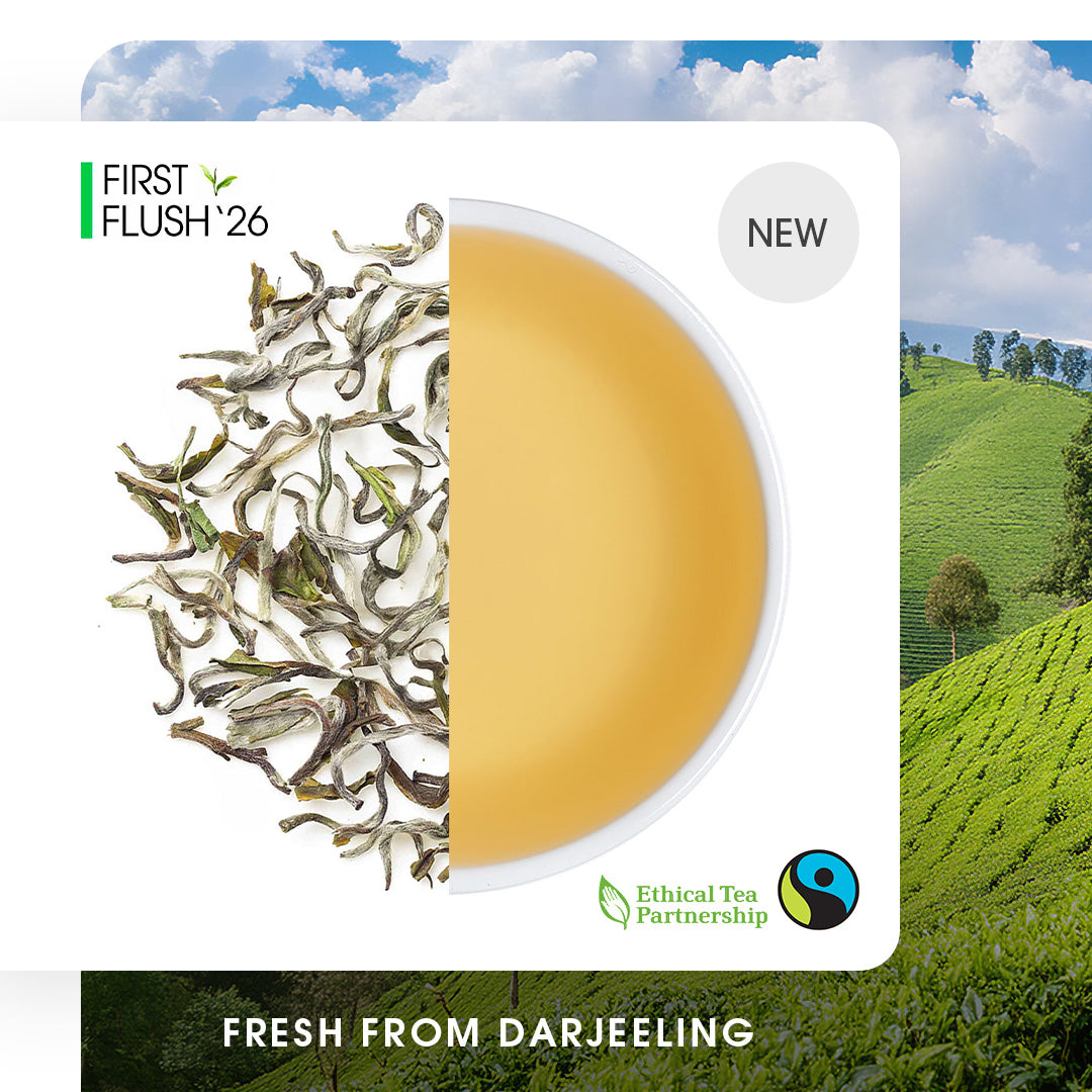 Darjeeling Samabeong Spring Black