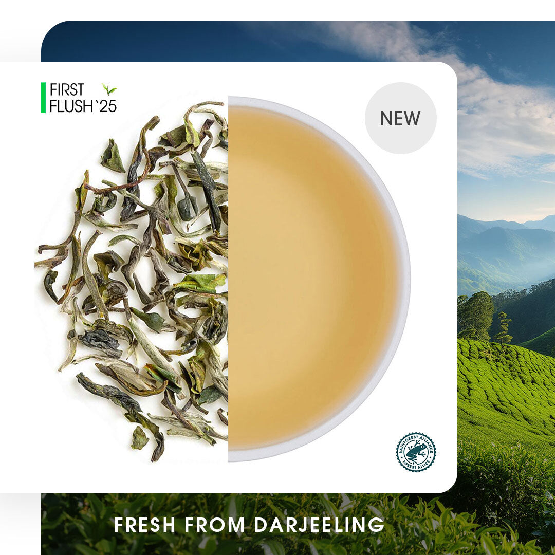 Darjeeling Thurbo Spring Moonlight White