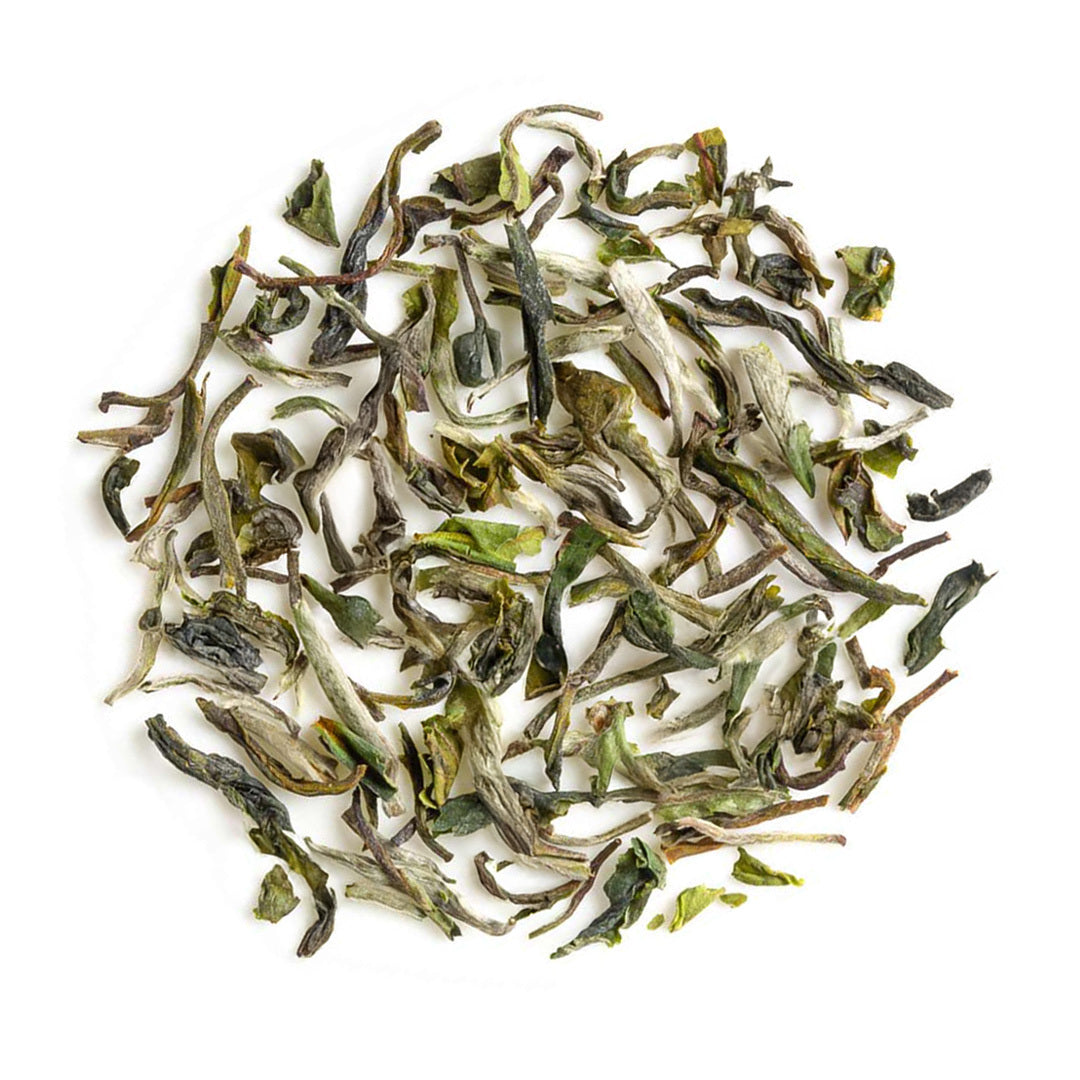 Darjeeling Thurbo Spring Moonlight White