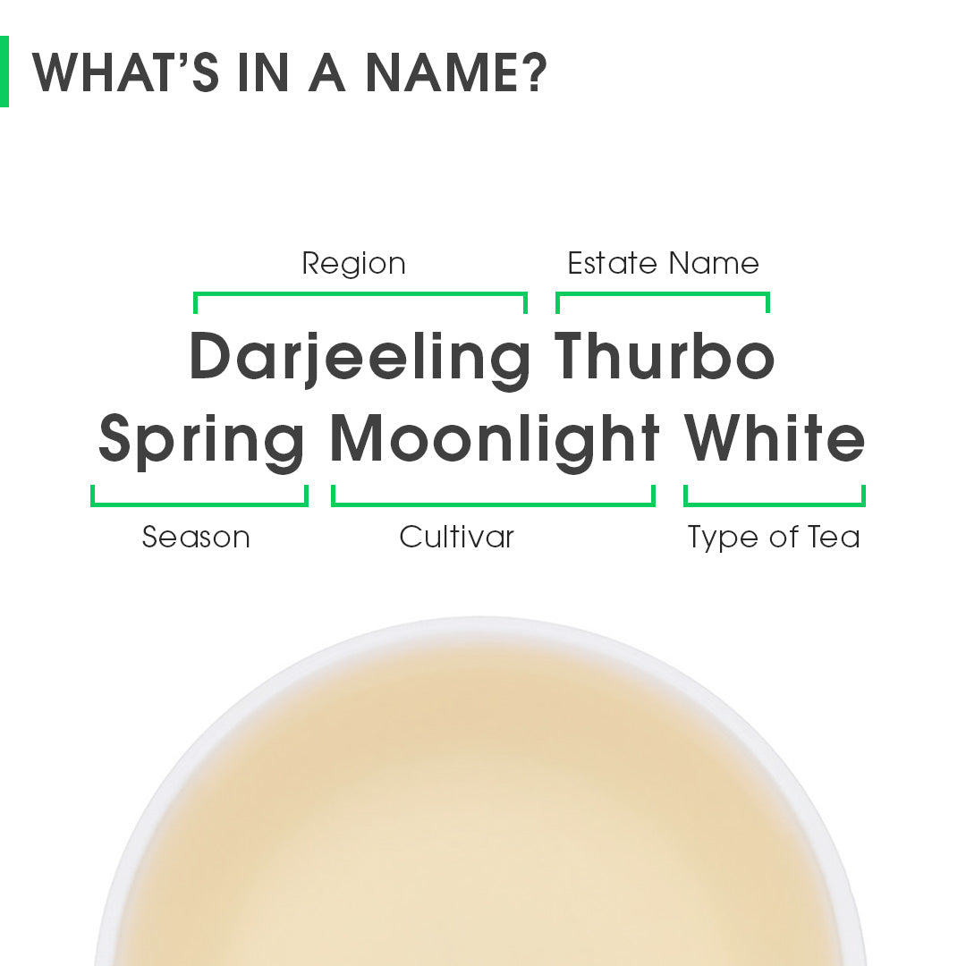Darjeeling Thurbo Spring Moonlight White