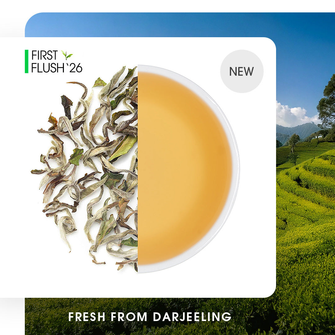 Buy 2026 Darjeeling Upper Namring Spring Clonal Black (Limited