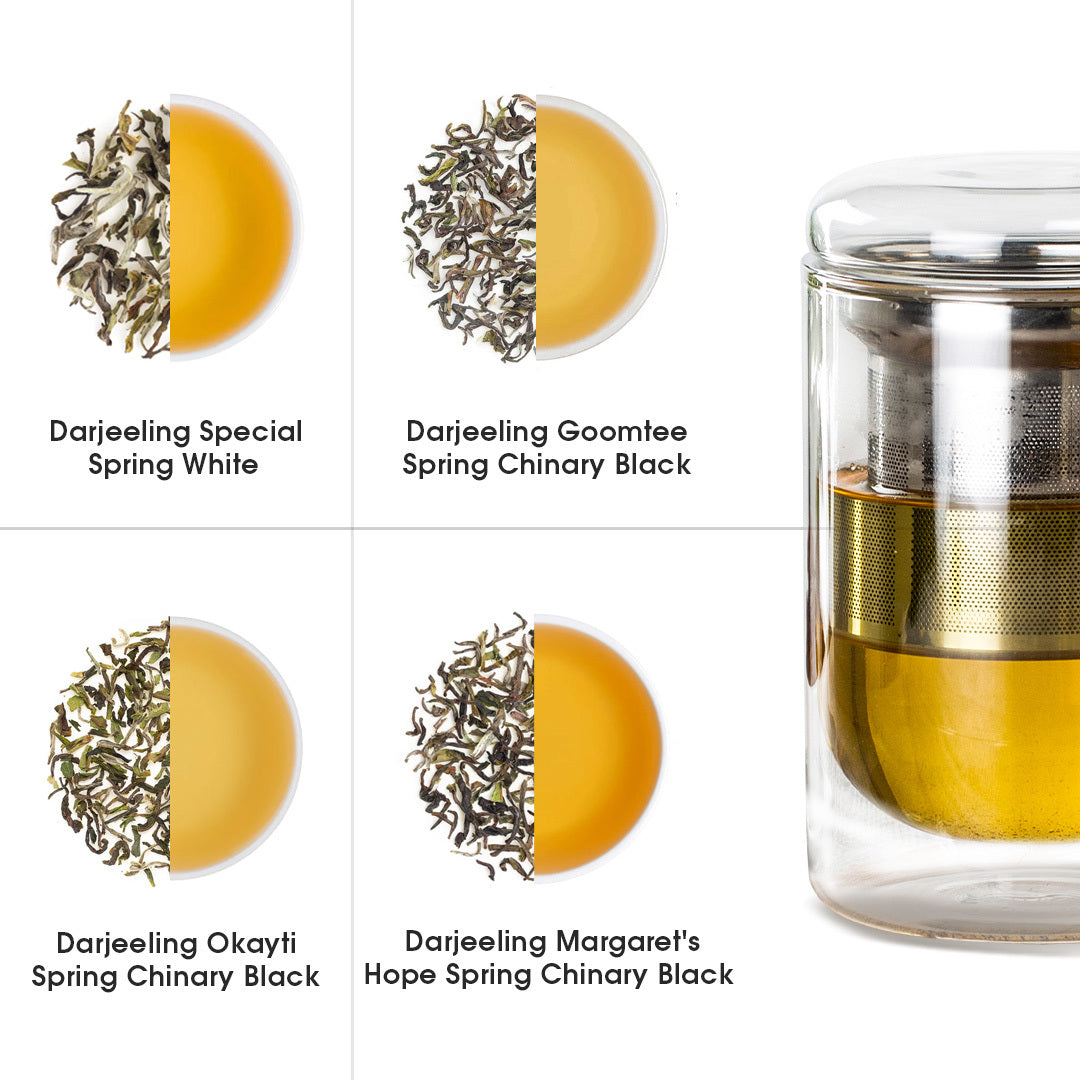 Indian Whole Leaf Trial Pack (Free Seidel Glass Tea Mug With Infuser & Ideal Teaspoon)