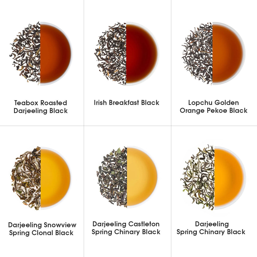 Indian Whole Leaf Trial Pack (Free Seidel Glass Tea Mug With Infuser & Ideal Teaspoon)