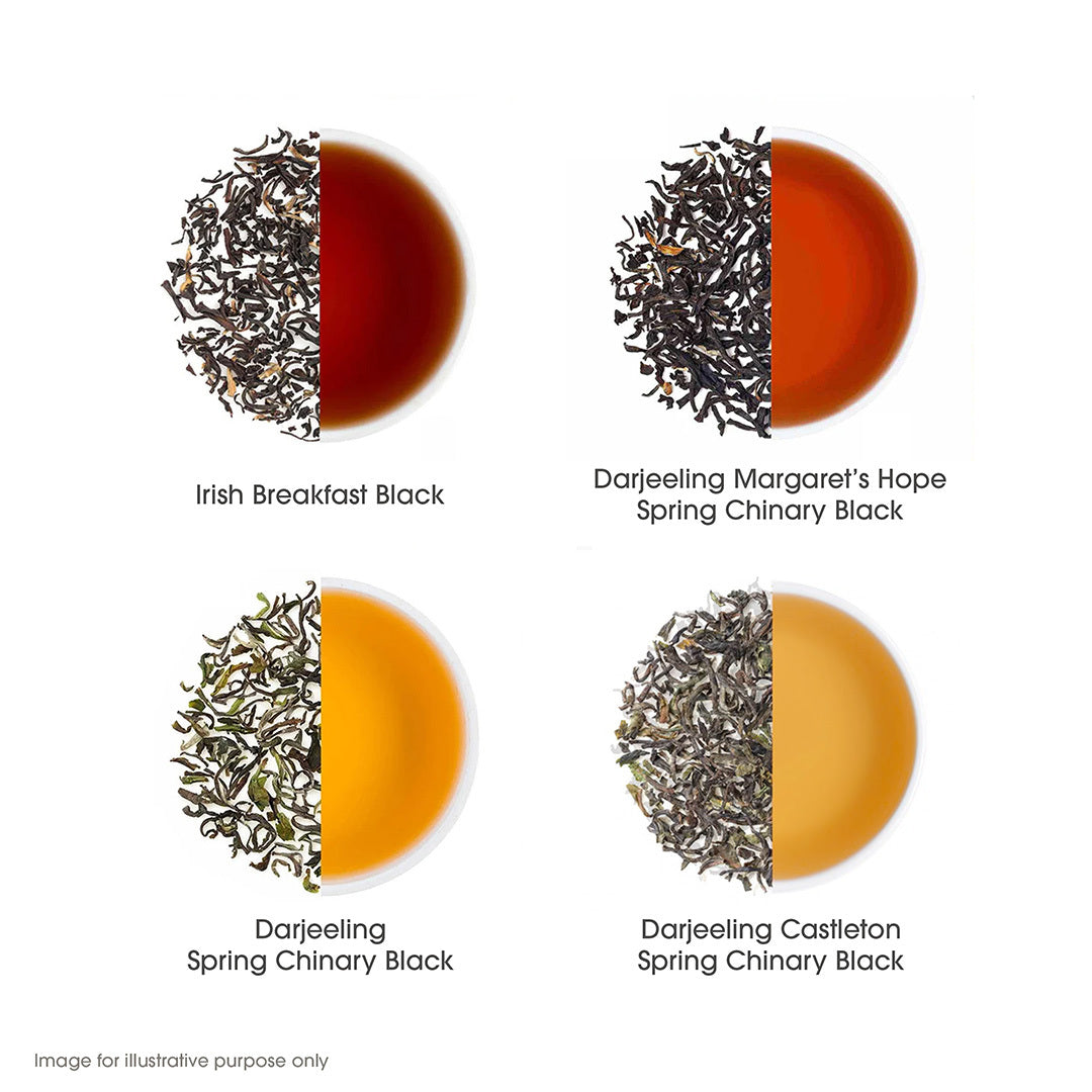 Indian Whole Leaf Pack of 10 Assorted Teas
